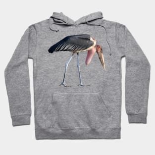 Marabou wading scavenger stork African Ugly Bird Africa Hoodie